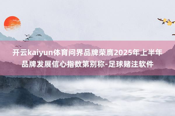 开云kaiyun体育问界品牌荣膺2025年上半年品牌发展信心指数第别称-足球赌注软件
