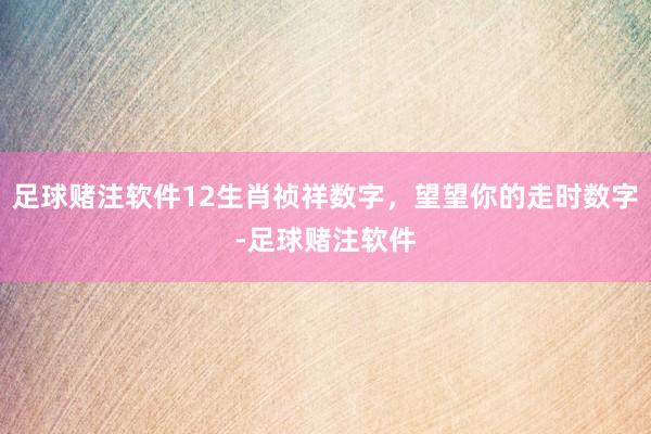 足球赌注软件12生肖祯祥数字，望望你的走时数字-足球赌注软件