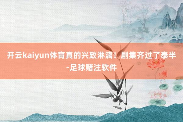 开云kaiyun体育真的兴致淋漓！剧集齐过了泰半-足球赌注软件