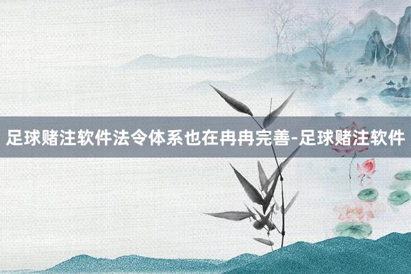 足球赌注软件法令体系也在冉冉完善-足球赌注软件