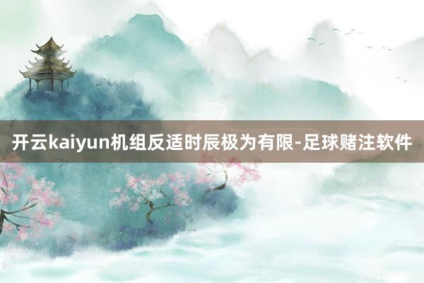 开云kaiyun机组反适时辰极为有限-足球赌注软件