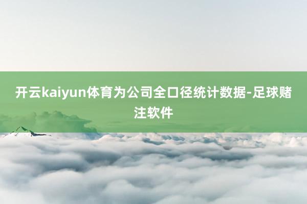 开云kaiyun体育为公司全口径统计数据-足球赌注软件