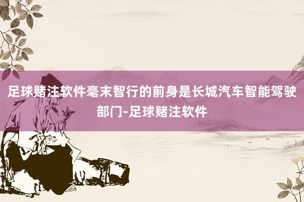 足球赌注软件毫末智行的前身是长城汽车智能驾驶部门-足球赌注软件
