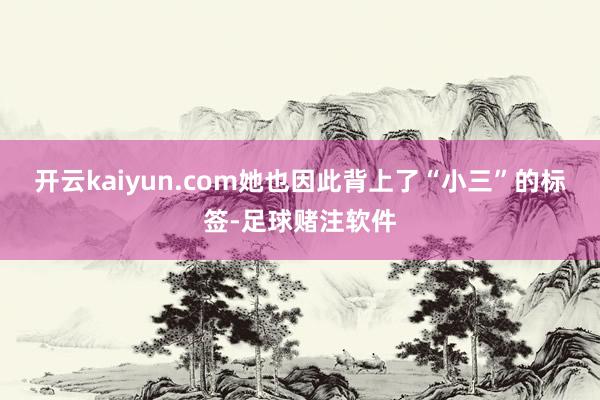 开云kaiyun.com她也因此背上了“小三”的标签-足球赌注软件