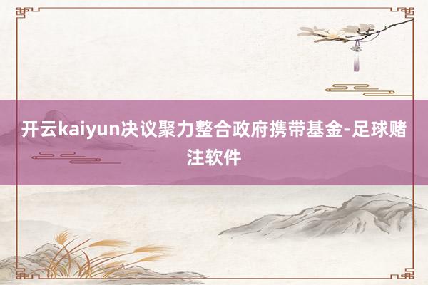 开云kaiyun　　决议聚力整合政府携带基金-足球赌注软件