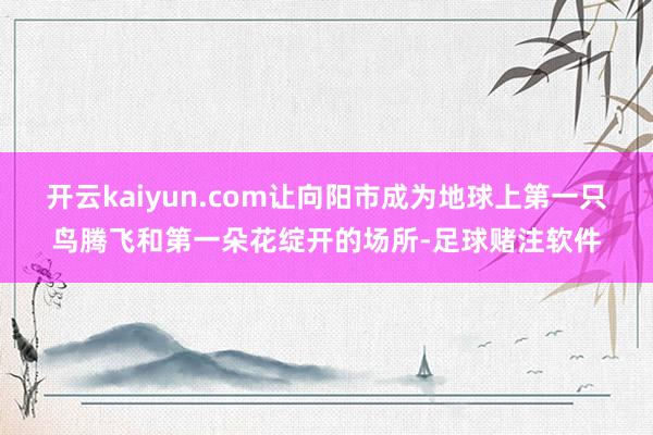 开云kaiyun.com让向阳市成为地球上第一只鸟腾飞和第一朵花绽开的场所-足球赌注软件