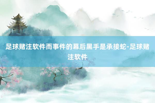 足球赌注软件而事件的幕后黑手是承接蛇-足球赌注软件