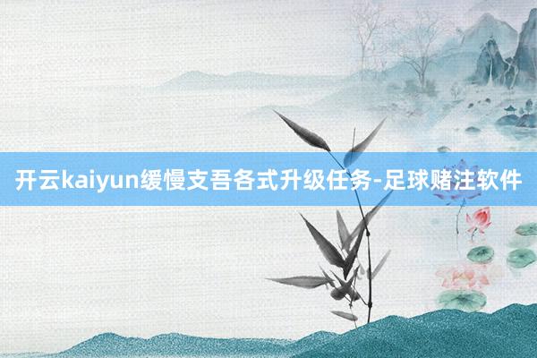 开云kaiyun缓慢支吾各式升级任务-足球赌注软件