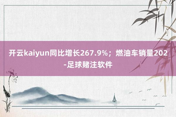 开云kaiyun同比增长267.9%；燃油车销量202-足球赌注软件