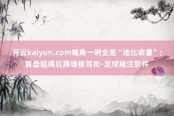 开云kaiyun.com嘴角一咧全是“地比命重”；算盘阻碍后蹲墙根骂街-足球赌注软件