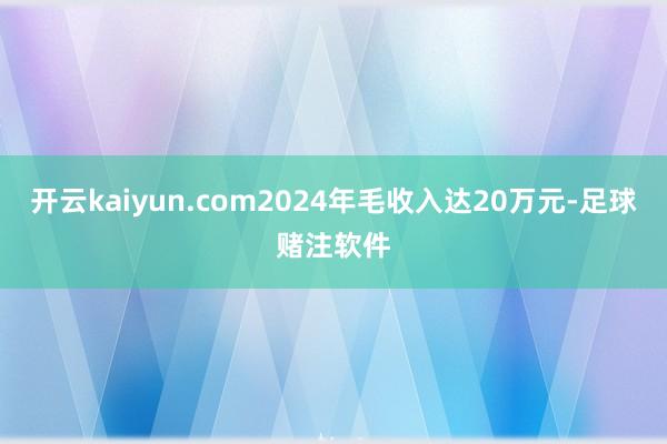 开云kaiyun.com2024年毛收入达20万元-足球赌注软件