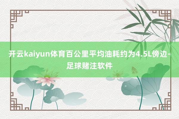 开云kaiyun体育百公里平均油耗约为4.5L傍边-足球赌注软件