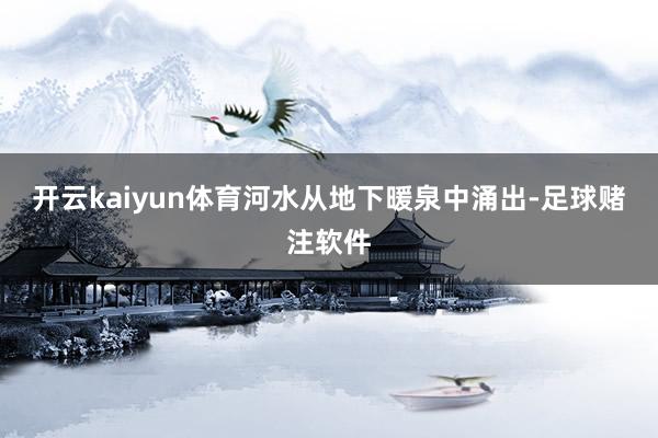 开云kaiyun体育河水从地下暖泉中涌出-足球赌注软件