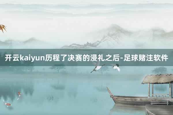 开云kaiyun历程了决赛的浸礼之后-足球赌注软件