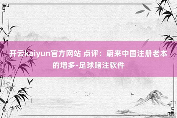 开云kaiyun官方网站 点评：蔚来中国注册老本的增多-足球赌注软件