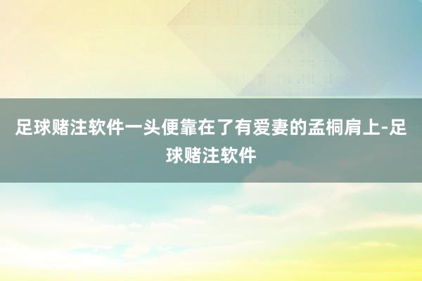 足球赌注软件一头便靠在了有爱妻的孟桐肩上-足球赌注软件