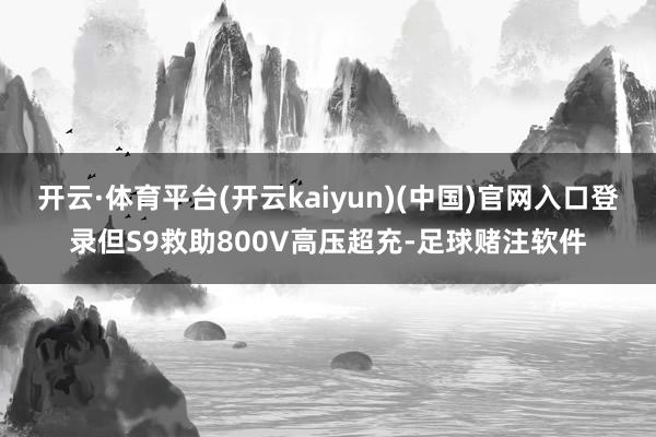 开云·体育平台(开云kaiyun)(中国)官网入口登录但S9救助800V高压超充-足球赌注软件