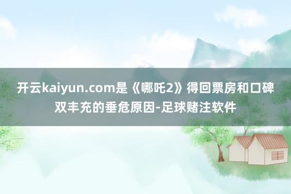 开云kaiyun.com是《哪吒2》得回票房和口碑双丰充的垂危原因-足球赌注软件