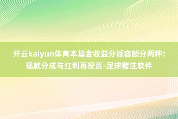 开云kaiyun体育本基金收益分派容颜分两种:现款分成与红利再投资-足球赌注软件