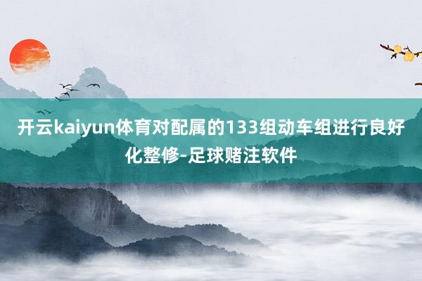 开云kaiyun体育对配属的133组动车组进行良好化整修-足球赌注软件
