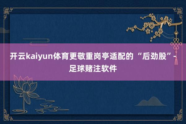开云kaiyun体育更敬重岗亭适配的 “后劲股”-足球赌注软件