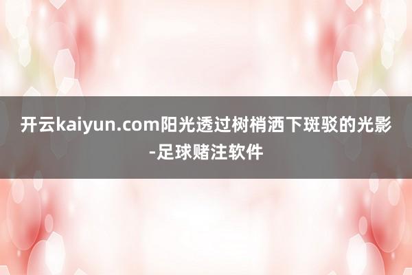 开云kaiyun.com阳光透过树梢洒下斑驳的光影-足球赌注软件