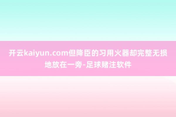 开云kaiyun.com但降臣的习用火器却完整无损地放在一旁-足球赌注软件