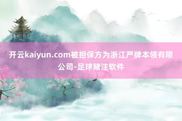 开云kaiyun.com被担保方为浙江严牌本领有限公司-足球赌注软件
