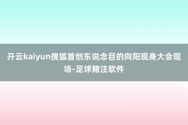 开云kaiyun搜狐首创东说念目的向阳现身大会现场-足球赌注软件