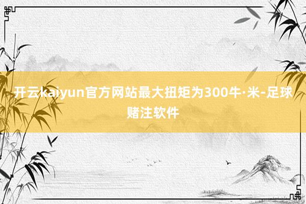 开云kaiyun官方网站最大扭矩为300牛·米-足球赌注软件