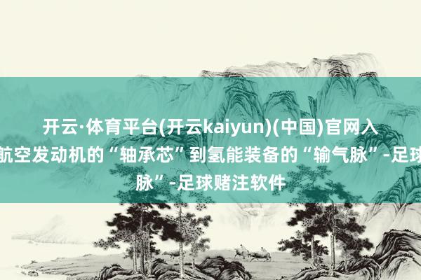 开云·体育平台(开云kaiyun)(中国)官网入口登录从航空发动机的“轴承芯”到氢能装备的“输气脉”-足球赌注软件