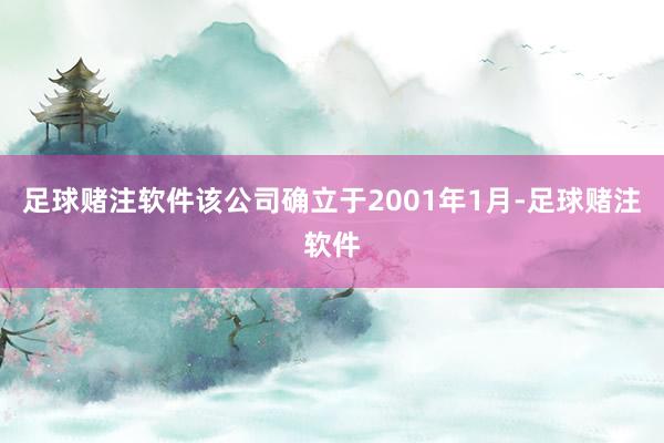 足球赌注软件该公司确立于2001年1月-足球赌注软件