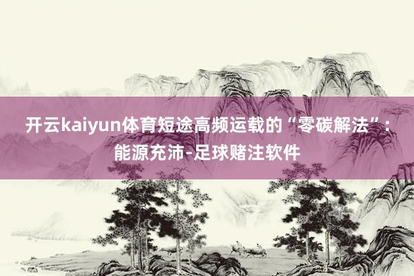 开云kaiyun体育短途高频运载的“零碳解法”:能源充沛-足球赌注软件