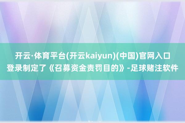 开云·体育平台(开云kaiyun)(中国)官网入口登录制定了《召募资金责罚目的》-足球赌注软件