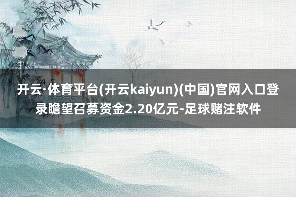 开云·体育平台(开云kaiyun)(中国)官网入口登录瞻望召募资金2.20亿元-足球赌注软件