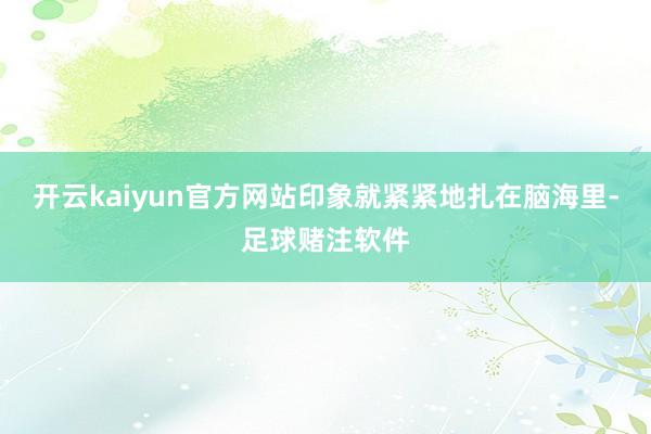开云kaiyun官方网站印象就紧紧地扎在脑海里-足球赌注软件