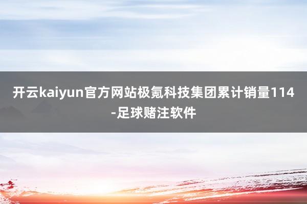 开云kaiyun官方网站极氪科技集团累计销量114-足球赌注软件