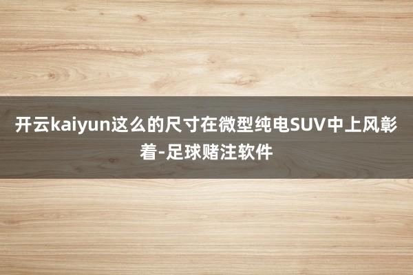 开云kaiyun这么的尺寸在微型纯电SUV中上风彰着-足球赌注软件