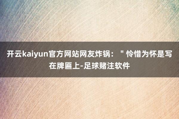 开云kaiyun官方网站网友炸锅:"怜惜为怀是写在牌匾上-足球赌注软件