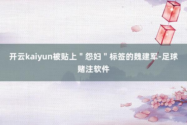 开云kaiyun被贴上"怨妇"标签的魏建军-足球赌注软件