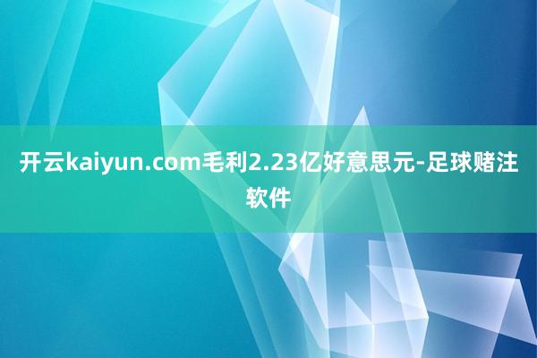 开云kaiyun.com毛利2.23亿好意思元-足球赌注软件