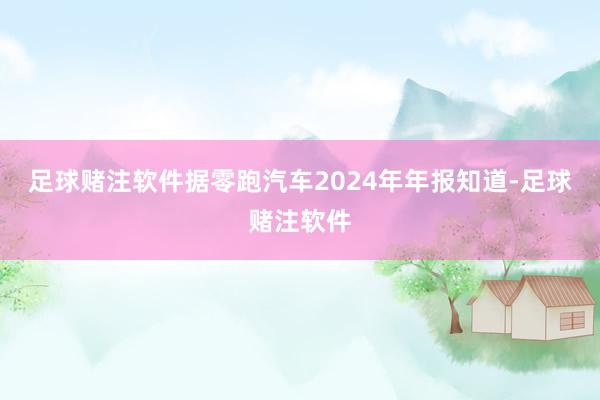 足球赌注软件据零跑汽车2024年年报知道-足球赌注软件