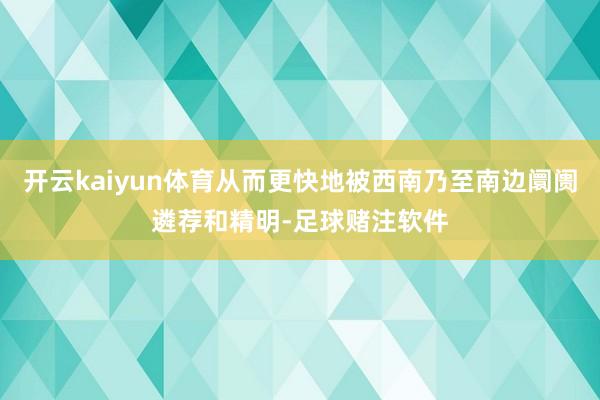 开云kaiyun体育从而更快地被西南乃至南边阛阓遴荐和精明-足球赌注软件