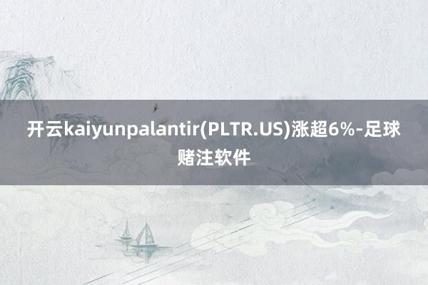开云kaiyunpalantir(PLTR.US)涨超6%-足球赌注软件