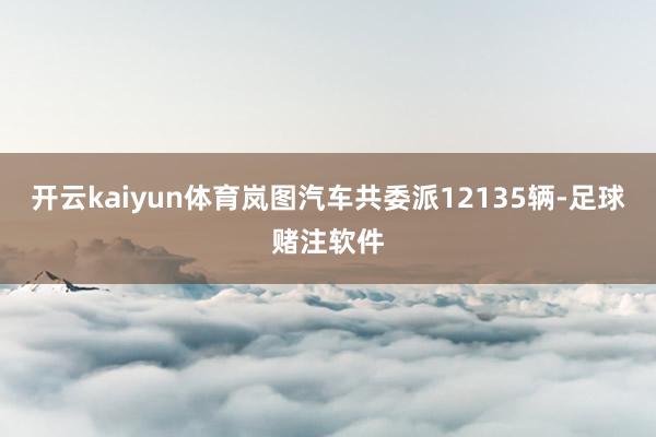 开云kaiyun体育岚图汽车共委派12135辆-足球赌注软件