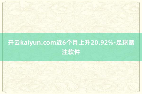 开云kaiyun.com近6个月上升20.92%-足球赌注软件
