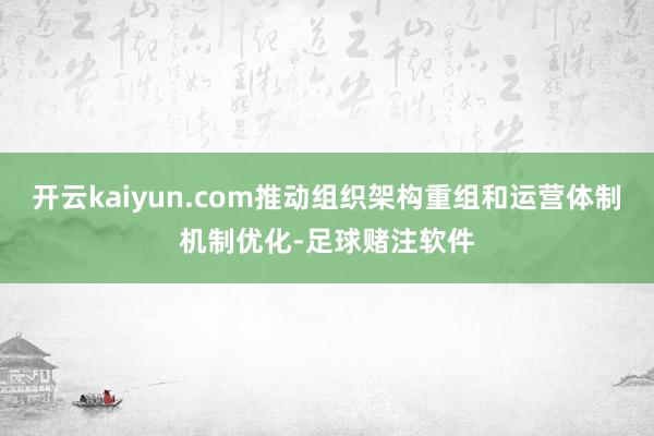 开云kaiyun.com推动组织架构重组和运营体制机制优化-足球赌注软件