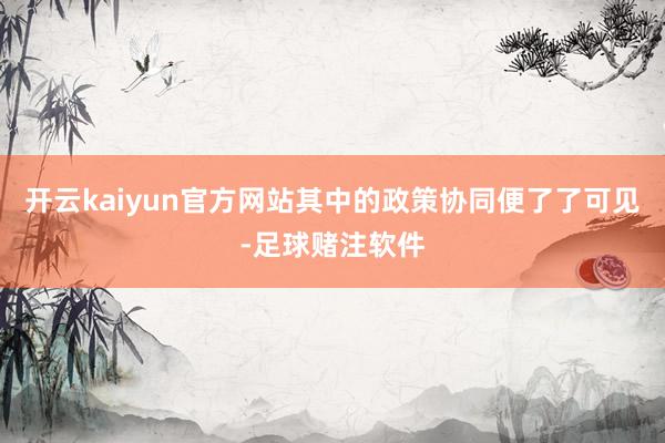 开云kaiyun官方网站其中的政策协同便了了可见-足球赌注软件