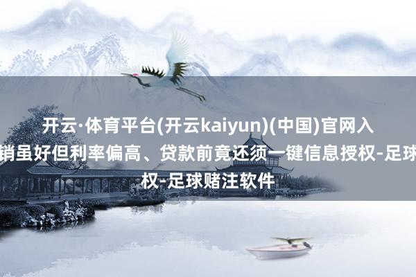 开云·体育平台(开云kaiyun)(中国)官网入口登录营销虽好但利率偏高、贷款前竟还须一键信息授权-足球赌注软件