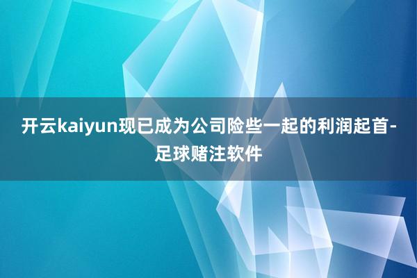 开云kaiyun现已成为公司险些一起的利润起首-足球赌注软件